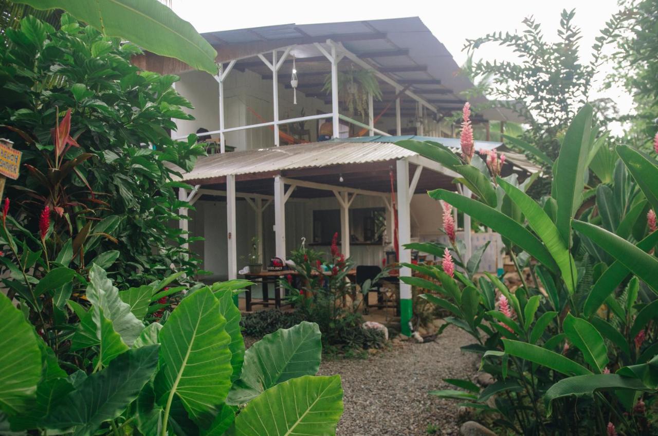 Casa Bohoe Puerto Viejo de Talamanca Exteriér fotografie