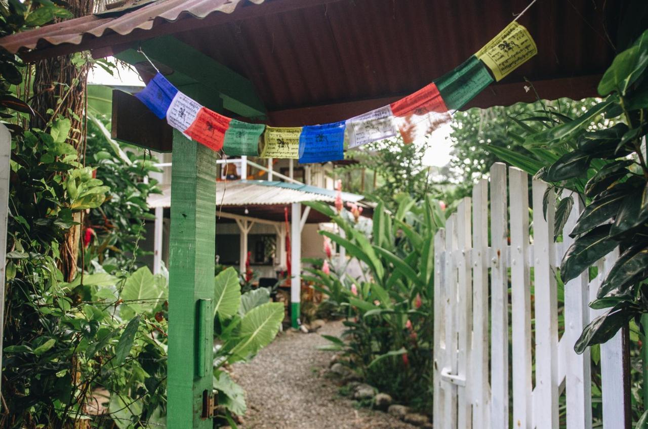Casa Bohoe Puerto Viejo de Talamanca Exteriér fotografie